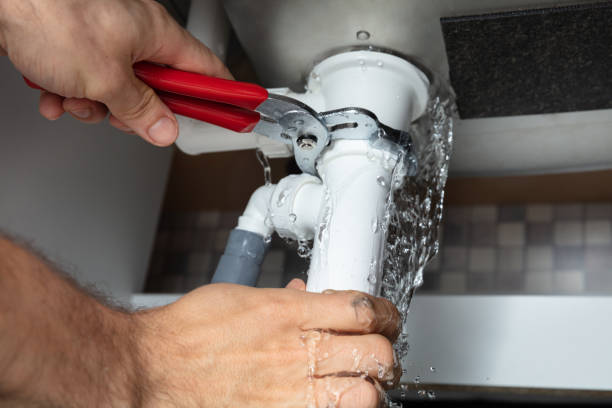 Best Carpet water damage restoration  in Chenoa, IL