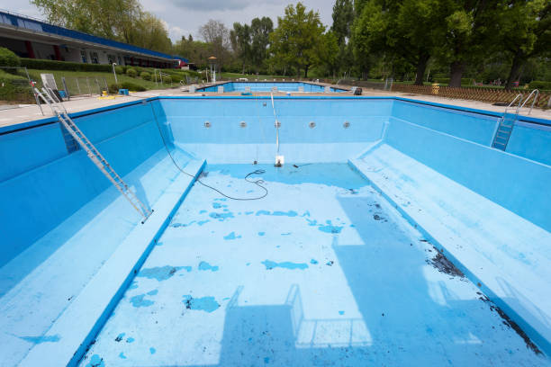 Best Local water damage restoration  in Chenoa, IL