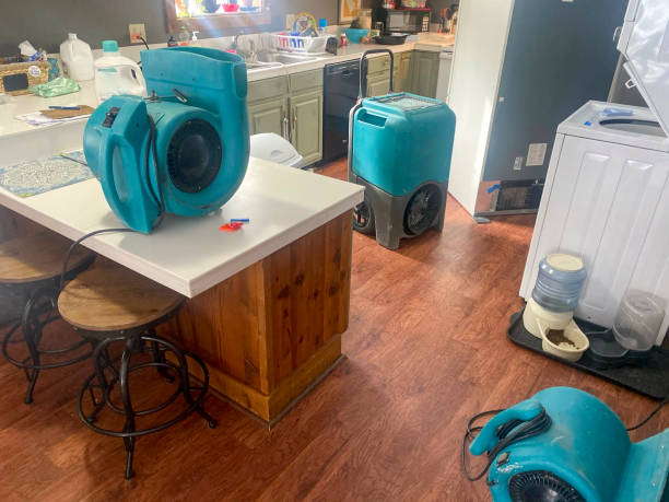 Best Commercial water damage restoration  in Chenoa, IL