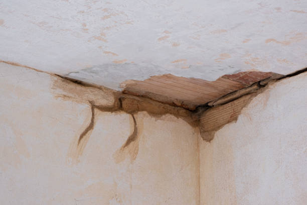 Best Water damage restoration process  in Chenoa, IL