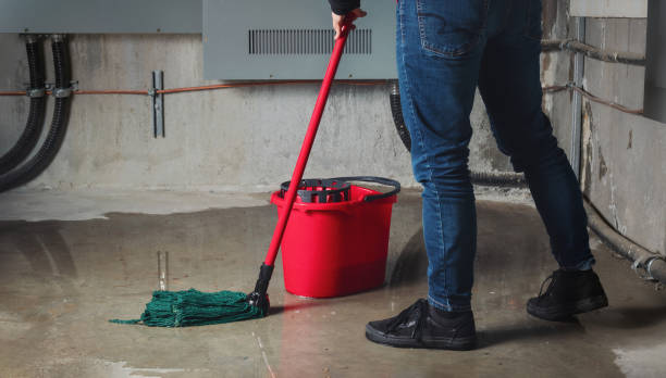 Best Fire Damage Restoration  in Chenoa, IL