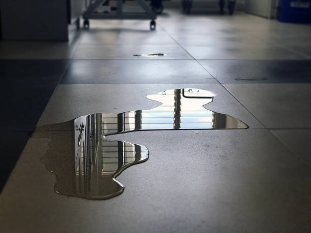 Best Local water damage restoration  in Chenoa, IL