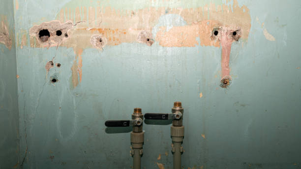 Best Fire Damage Restoration  in Chenoa, IL