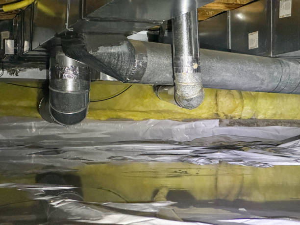 Best Flood restoration services  in Chenoa, IL