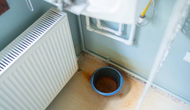 Best Flood restoration services  in Chenoa, IL